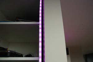 Philips Hue LED-strip