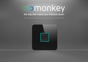 monkey1